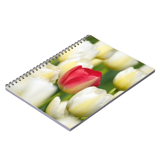 Rode tulp in een veld met witte tulpen notitieboek (Linkerzijde)