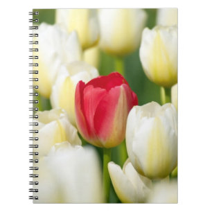 Rode tulp in een veld met witte tulpen notitieboek