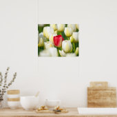 Rode tulp in een veld met witte tulpen poster (Keuken)