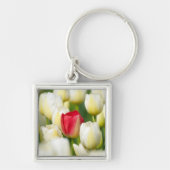Rode tulp in een veld met witte tulpen sleutelhanger (Voorkant)