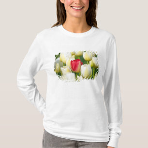 Rode tulp in een veld met witte tulpen t-shirt