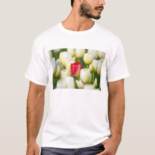 Rode tulp in een veld met witte tulpen t-shirt