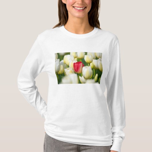 Rode tulp in een veld met witte tulpen t-shirt (Voorkant)
