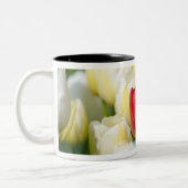 Rode tulp in een veld met witte tulpen tweekleurige koffiemok (Links)