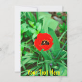  rode tulp kaart (Voorkant)