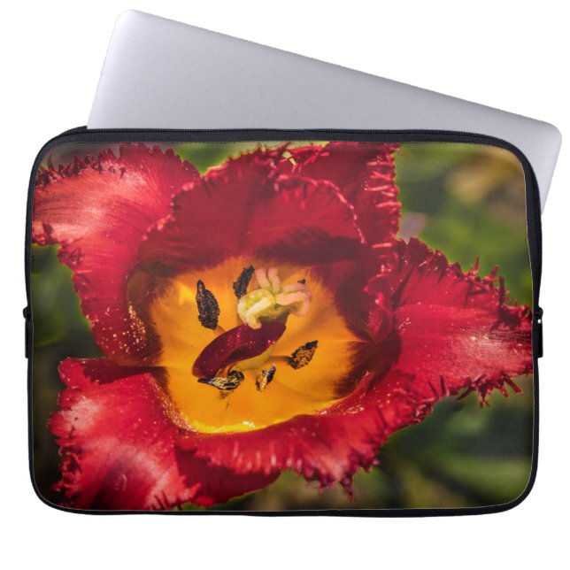 Rode tulp laptop sleeve (Voorkant)