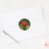 Rode Tulp Lente Bloem Ronde Sticker (Envelop)