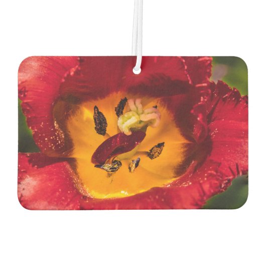 Rode tulp luchtverfrisser (Achterkant)