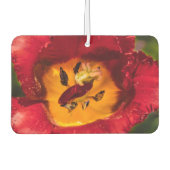 Rode tulp luchtverfrisser (Voorkant)