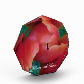 Rode Tulp Macro Foto Kunst Blok (Links)