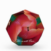 Rode Tulp Macro Foto Kunst Blok (Voorkant)