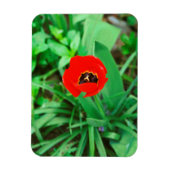 Rode tulp magneet (Verticaal)