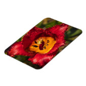 Rode tulp magneet (Linkerzijde)