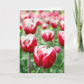 rode tulp met regendruppels op glas kaart (Voorkant)