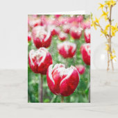 rode tulp met regendruppels op glas kaart (Gele Bloem)