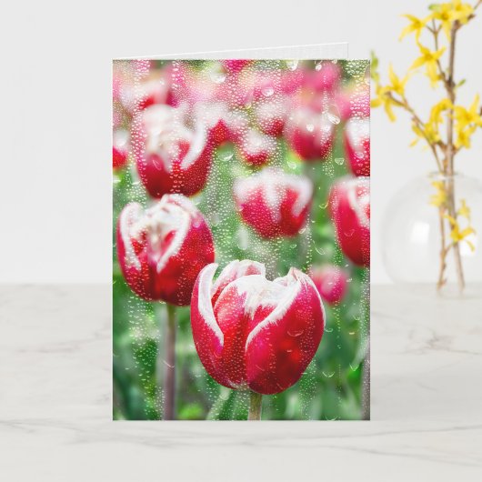 rode tulp met regendruppels op glas kaart (Gele Bloem)