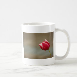 Rode tulp mok