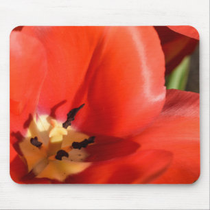 rode tulp muismat