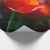 Rode tulp - Mysterie van bloei Cadeaupapier (Hoek)