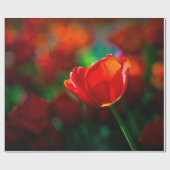 Rode tulp - Mysterie van bloei Cadeaupapier (Vlak)