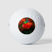 Rode tulp - Mysterie van bloei Golfballen (Voorkant)