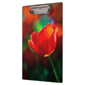 Rode tulp - Mysterie van bloei Klembord (Links)