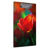 Rode tulp - Mysterie van bloei Klembord (Rechts)