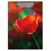 Rode tulp - Mysterie van bloei Klembord (Voorkant)