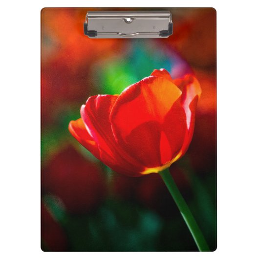 Rode tulp - Mysterie van bloei Klembord (Voorkant)