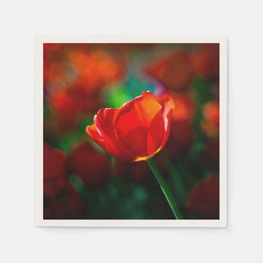 Rode tulp - Mysterie van bloei Servetten (Voorkant)