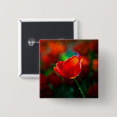 Rode tulp - Mysterie van bloei Vierkante Button 5,1 Cm (Voorkant /achterkant)