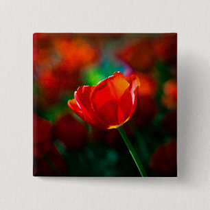 Rode tulp - Mysterie van bloei Vierkante Button 5,1 Cm