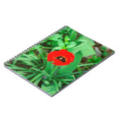 Rode tulp notitieboek (Linkerzijde)