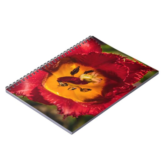 Rode tulp notitieboek (Linkerzijde)