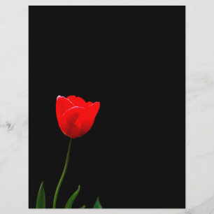 Rode tulp op een zwarte achtergrond flyer