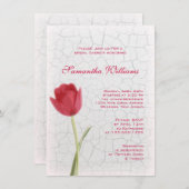 Rode tulp op het Vrijgezellenfeest van Crackle Pai Kaart (Voorkant / Achterkant)