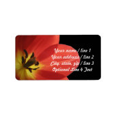 Rode Tulp op Zwart | Aangepast Retouradres Etiket (Voorkant)