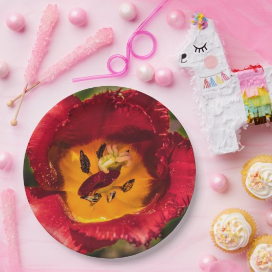 Rode tulp papieren bordje (Feest)