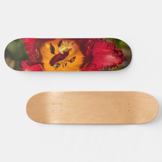 Rode tulp persoonlijk skateboard (Horizontaal)
