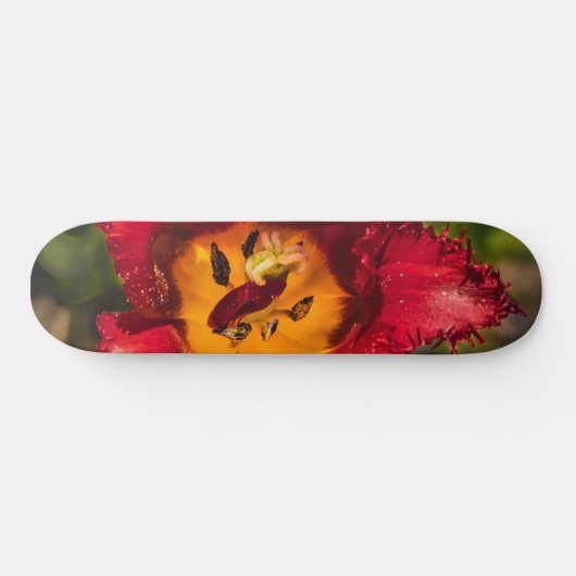 Rode tulp persoonlijk skateboard (Horizontaal)