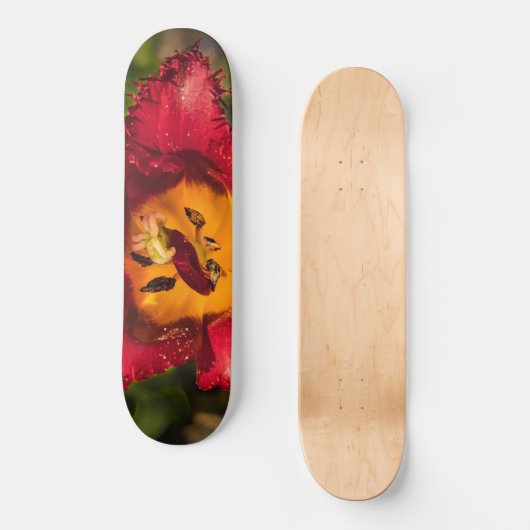 Rode tulp persoonlijk skateboard (Voorkant)