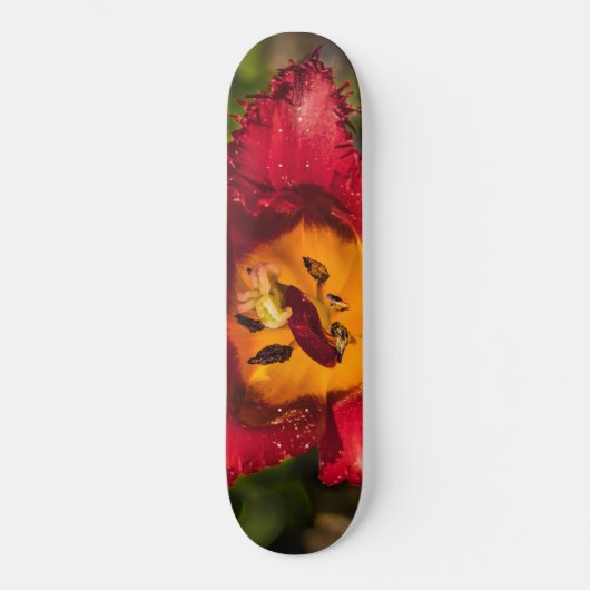 Rode tulp persoonlijk skateboard (Voorkant)