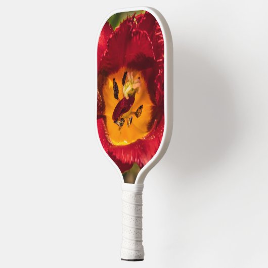 Rode tulp pickleball paddle (Links)