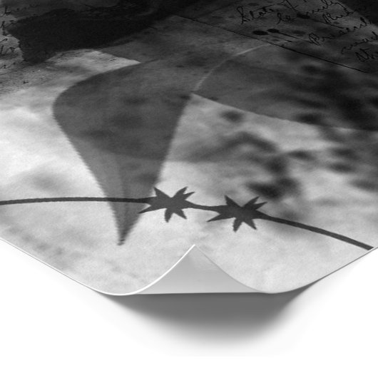 Rode Tulp Poster (Hoek)