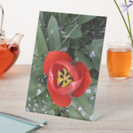 Rode tulp reclamebord met voetstuk