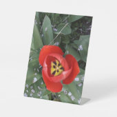 Rode tulp reclamebord met voetstuk (Voorkant)