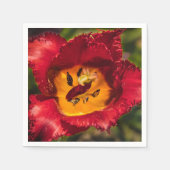 Rode tulp servet (Voorkant)