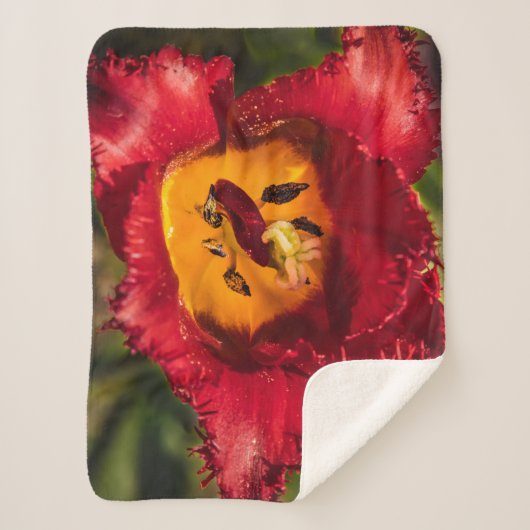 Rode tulp sherpa deken (Voorkant)