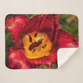 Rode tulp sherpa deken (Voorkant (horizontaal))