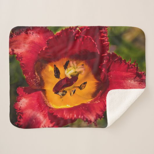 Rode tulp sherpa deken (Voorkant (horizontaal))